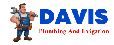 Trusted plumber in DANDRIDGE